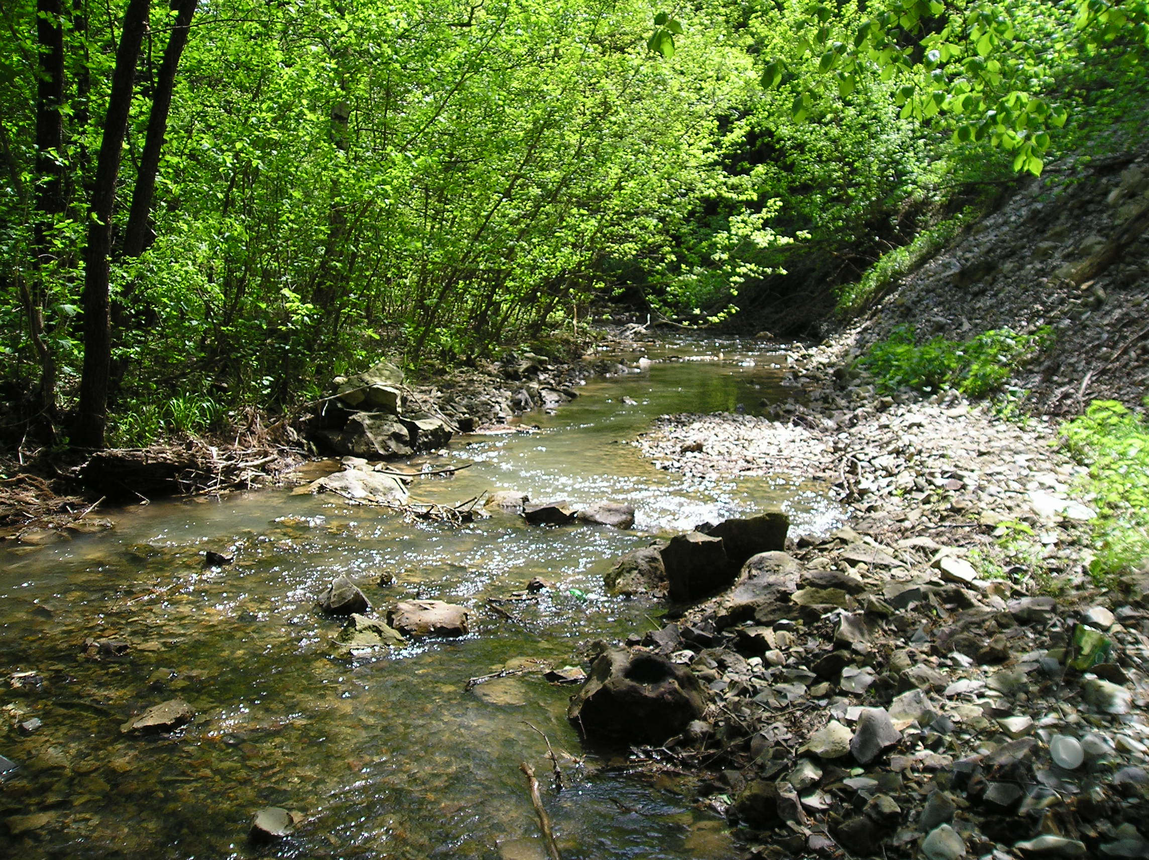 Щербаковский парк фото